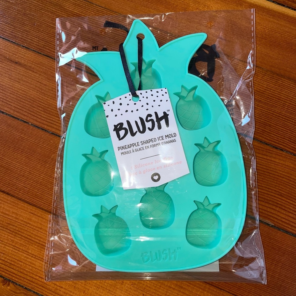 Blush Pineapple Silicone Ice Mold in Teal